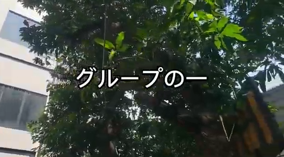 Foto KAIWA 1